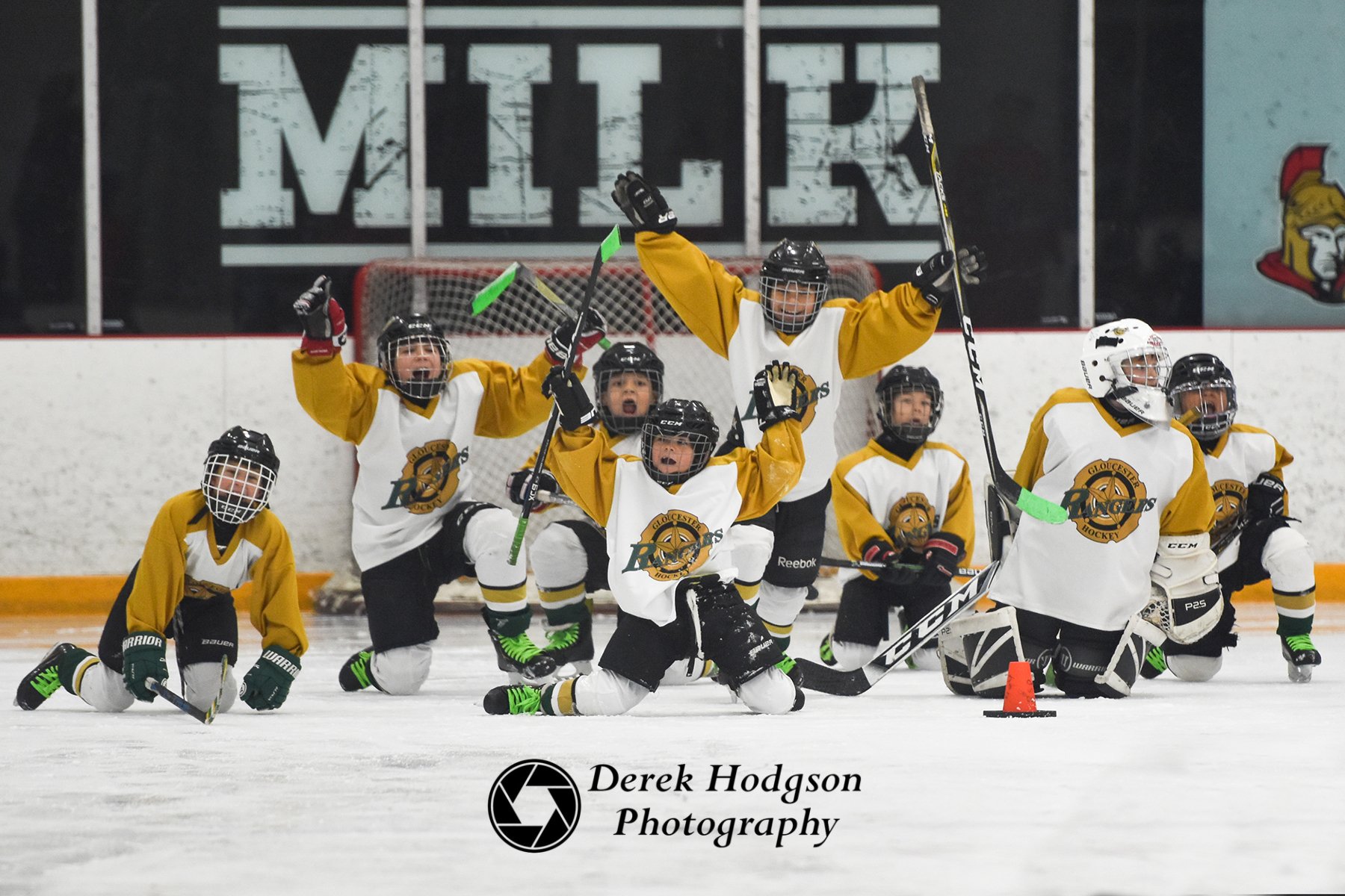 Hodgson - Novice